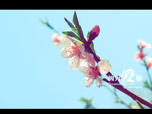 Photoshop{ƫɫDƬ{trɫ{
